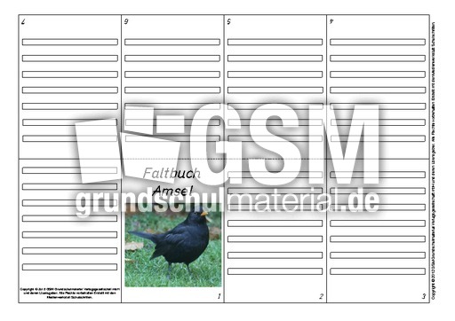 Faltbuch-Amsel-L-11.pdf